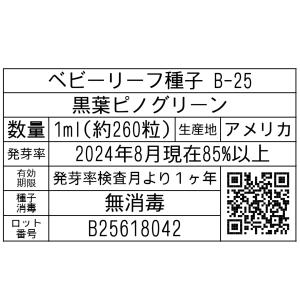 ベビーリーフ種子 B-25 黒葉ピノグリーン 1mlの詳細画像1