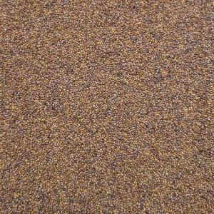 ベビーリーフ種子 B-30 ルッコラ(セルバテ...の詳細画像2