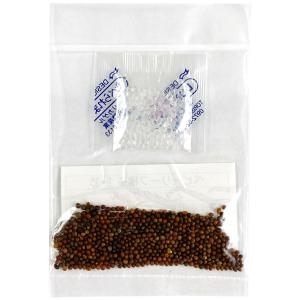 ベビーリーフ種子 B-36 ブラックケール 2.5mlの商品画像