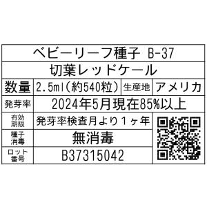 ベビーリーフ種子 B-37 切葉レッドケール ...の詳細画像1