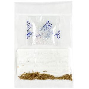 [品切] ベビーリーフ種子 B-42 ミニセルリ...の商品画像