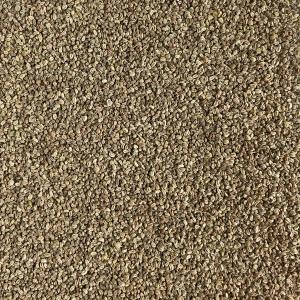 [品切] ベビーリーフ種子 B-42 ミニセル...の詳細画像2