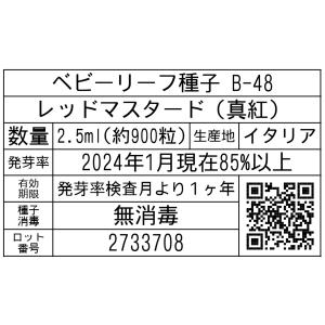 ベビーリーフ種子 B-48 レッドマスタード(...の詳細画像1