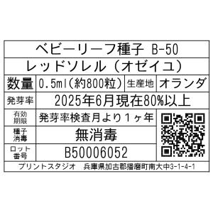 ベビーリーフ種子 B-50 レッドソレル(オゼ...の詳細画像1