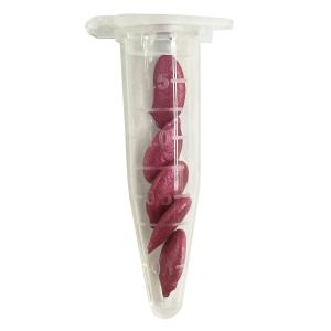 野菜種子 EAE 沖縄冬瓜 5粒の商品画像