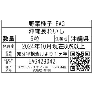 野菜種子 EAG 沖縄長れいし 5粒の詳細画像1