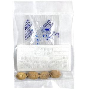 野菜種子 EAL 沖縄白ゴーヤ 4粒の商品画像