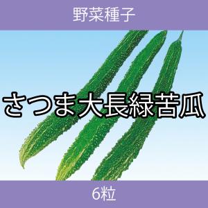 野菜種子 EAN さつま大長緑苦瓜 6粒の商品画像