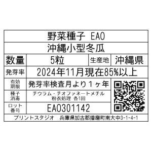 野菜種子 EAO 沖縄小型冬瓜 5粒の詳細画像1