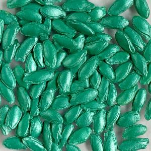 野菜種子 EAO 沖縄小型冬瓜 5粒の詳細画像2