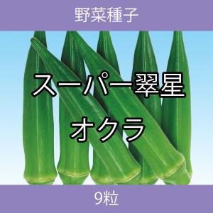 野菜種子 EAP スーパー翠星オクラ 9粒｜printstudio-jp