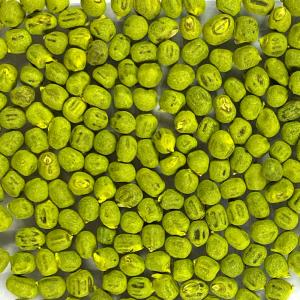 野菜種子 EAT べにいろオクラ 15粒の詳細画像2