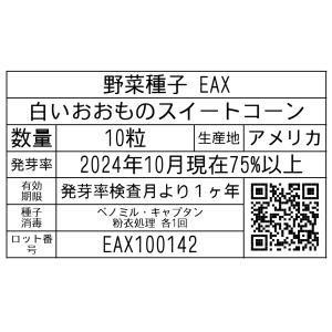野菜種子 EAX 白いおおもの 10粒の詳細画像1