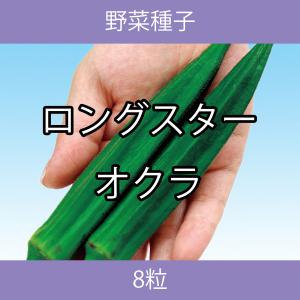 野菜種子 EBD ロングスターオクラ 8粒｜printstudio-jp
