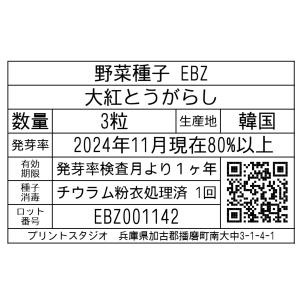 野菜種子 EBZ 大紅とうがらし 3粒の詳細画像1