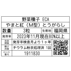野菜種子 ECA やまと紅(M型)とうがらし 3粒の詳細画像1