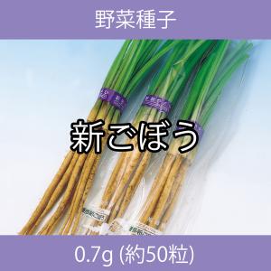 野菜種子 ECO 新ごぼう 0.7g｜printstudio-jp