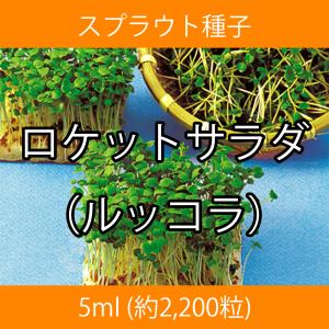 スプラウト種子 S-04 ロケットサラダ（ルッコラ） 5ml｜printstudio-jp