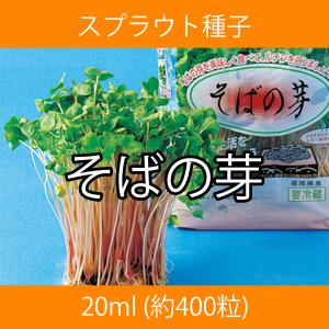 スプラウト種子 S-08 そばの芽 30mlの商品画像