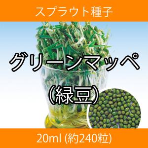スプラウト種子 S-17 グリーンマッペ（緑豆） 20ml｜printstudio-jp
