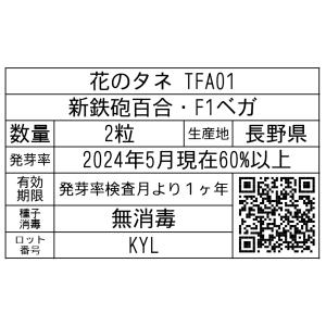 花のタネ TFA01 新鉄砲百合・F1ベガ 2粒の詳細画像1