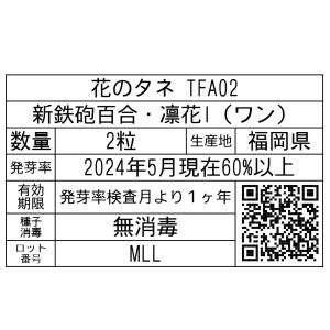 花のタネ TFA02 新鉄砲百合・凛花I(ワン...の詳細画像1