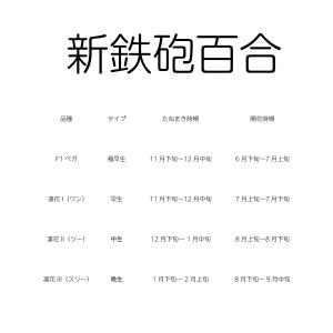 花のタネ TFA02 新鉄砲百合・凛花I(ワン...の詳細画像2