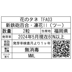 花のタネ TFA03 新鉄砲百合・凛花II(ツ...の詳細画像1