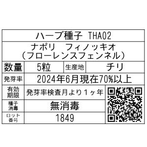 ハーブ種子 THA02 ナポリ フィノッキオ 5粒の詳細画像1
