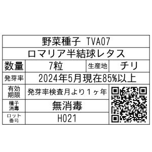 野菜種子 TVA07 ロマリア半結球レタス 7粒の詳細画像1