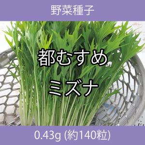 野菜種子 TVA13 都むすめミズナ 0.43g｜printstudio-jp