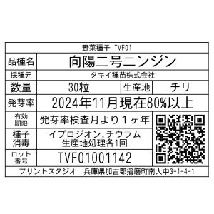 野菜種子 TVF01 向陽二号ニンジン 30粒の詳細画像1