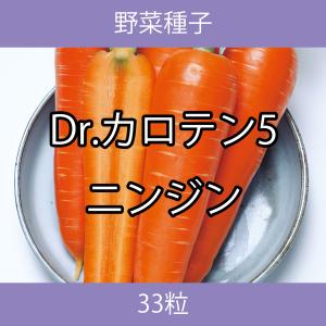野菜種子 TVF02 Dr.カロテン5ニンジン 33粒｜printstudio-jp