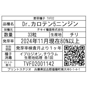 野菜種子 TVF02 Dr.カロテン5ニンジン...の詳細画像1