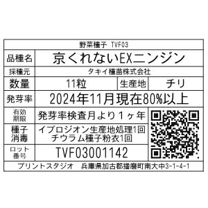 野菜種子 TVF03 京くれないEXニンジン 11粒の詳細画像1