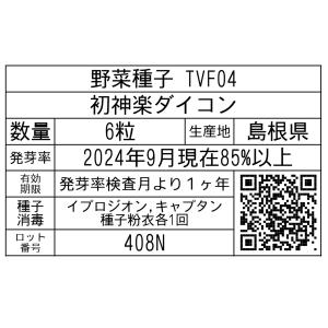 野菜種子 TVF04 初神楽ダイコン 6粒の詳細画像1