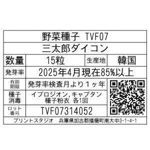 野菜種子 TVF07 三太郎ダイコン 15粒の詳細画像1