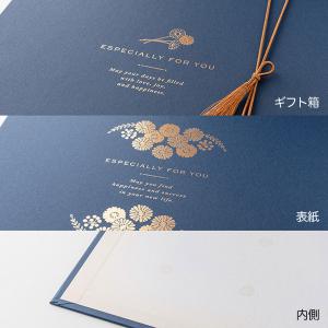 ミドリ MIDORI カラー色紙 箱入 四つ折...の詳細画像4