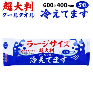 iiもの本舗 ラージサイズ 冷感タオル 5枚入 ...の商品画像