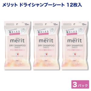Kao（花王） メリットDAY+ ドライシャンプー 130g【ドラッグストア