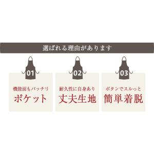 エプロン H型 名入れ ポケット 無地 刺繍 ...の詳細画像3