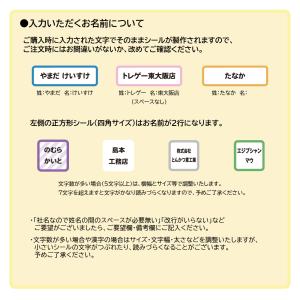 ネームシール 布タイプ 介護 社用 大人 シン...の詳細画像4
