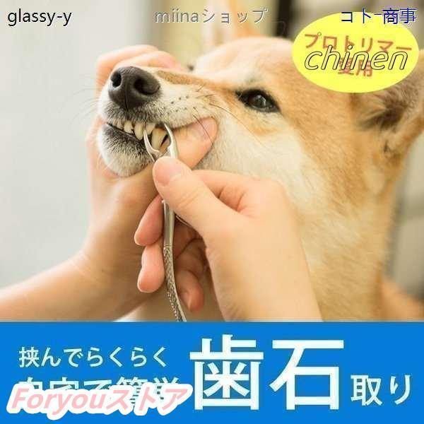 愛犬・愛猫用 歯石取り ペンチ 犬 歯石 デンタルケア ホームケア 猫 プロも愛用