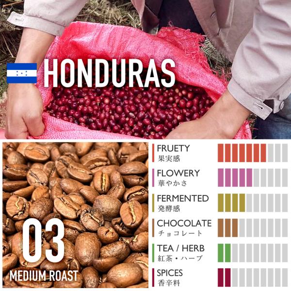 ホンジュラス／テパングアレ農園・アナエロビック・ハニー