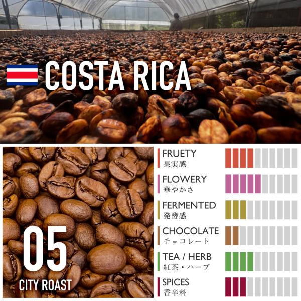 コスタリカ／レガドス農園・ブラックハニー