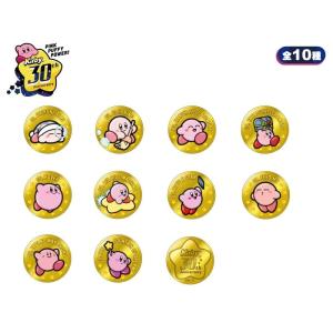 エンスカイ 送料無料 星のカービィ 30th レリーフメダル