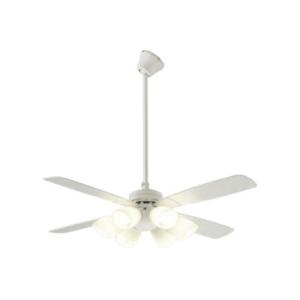 大光電機 灯具一体型 CCF111S : プリズマヤフー店 - 通販 - Yahoo