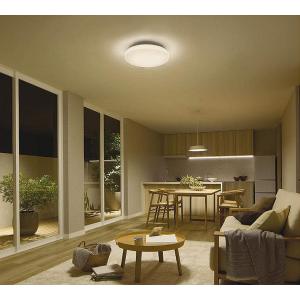 大光電機 シーリングライト DCL41705Eの買取情報