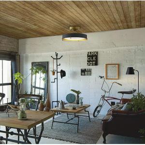 大光電機 シーリングライト DCL42067の買取情報