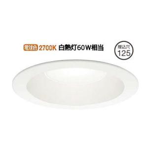 大光電機 LEDダウンライト(軒下使用可) DDL131YW(非調光型)